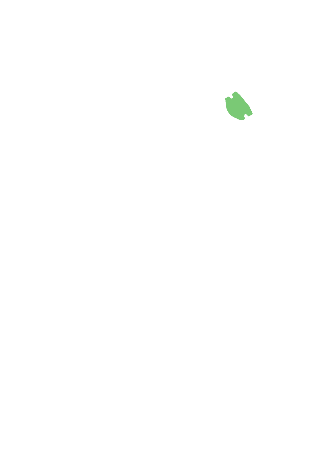 Overlay 2